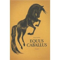 Equus caballus / Nicolas Duffaut | Duffaut, Nicolas (1977-....)